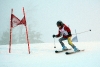 Albin-Ringström-31.jpg
