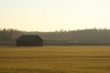2005-04-24=20006.jpg
