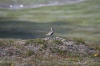 IMG_6363.jpg
