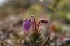 _MG_8423.jpg